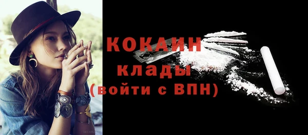 дживик Верея