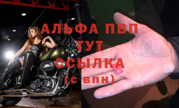 дживик Верея