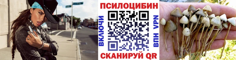 Галлюциногенные грибы Cubensis  наркота  Рязань 
