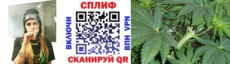 купить наркотик  Рязань  Бошки марихуана индика 